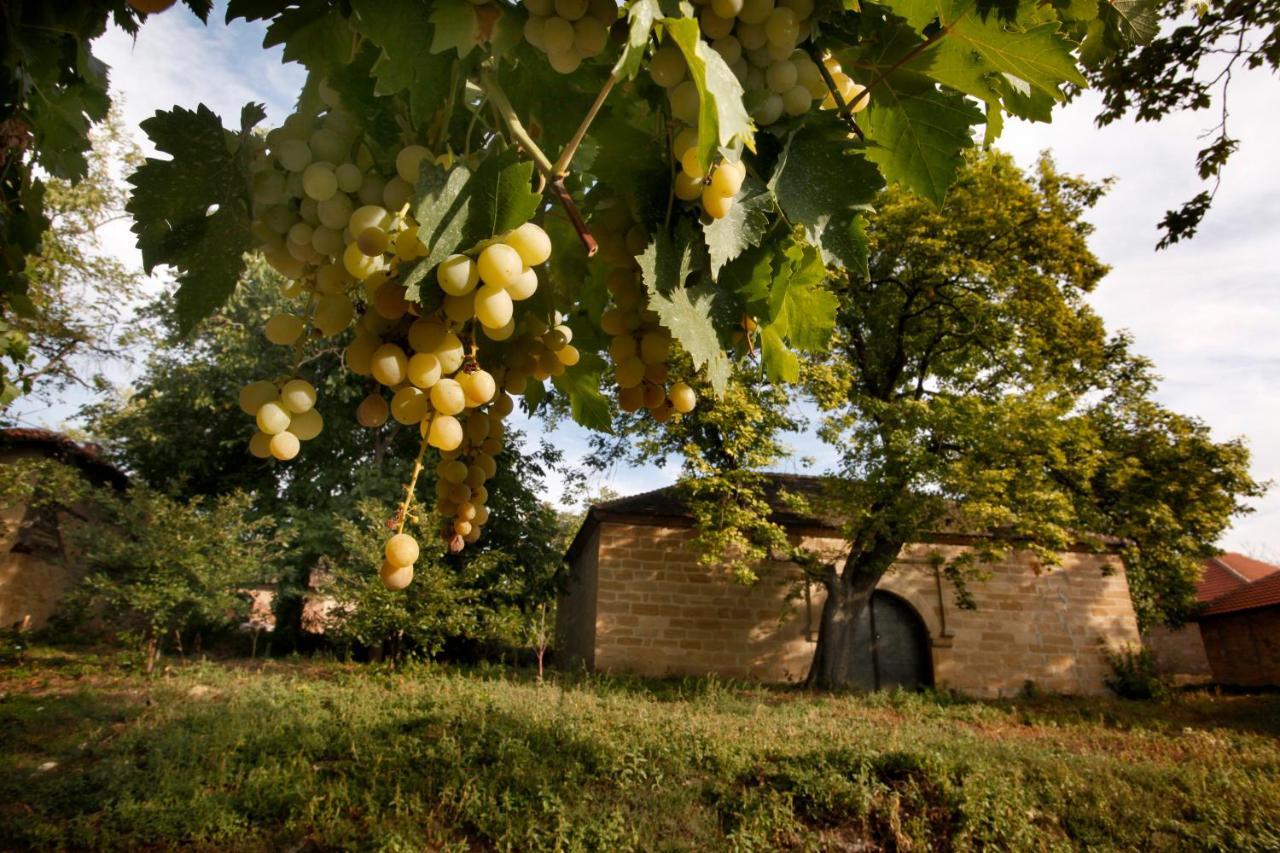 "Pivnica I Smestaj Jovanovic"- Rogljevacke Pivnice Rogljevo Exteriér fotografie