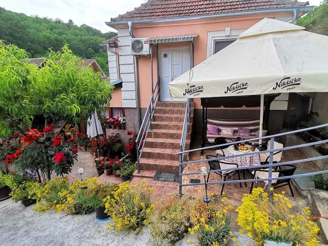 "Pivnica I Smestaj Jovanovic"- Rogljevacke Pivnice Rogljevo Exteriér fotografie