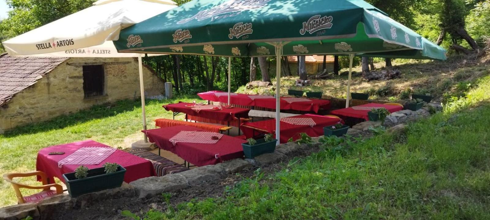 "Pivnica I Smestaj Jovanovic"- Rogljevacke Pivnice Rogljevo Exteriér fotografie